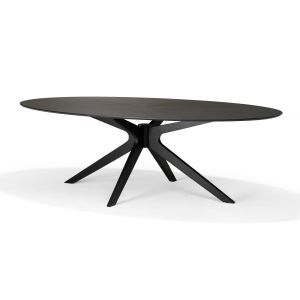 Julia 120X70 Salontafel Ovaal Eiken Zwart