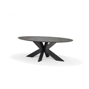 Switch Eetkamertafel 260X120 Ovaal Zwart Eiken + Stellar 